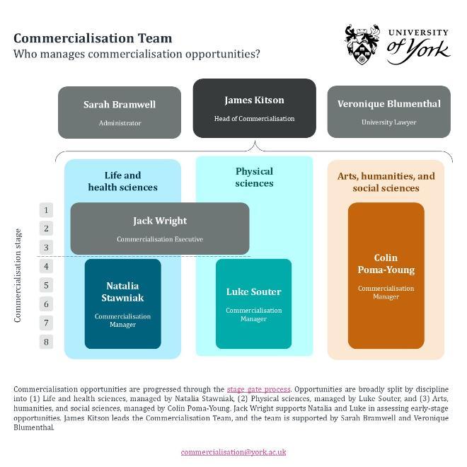 Commercialisation Team Organogram